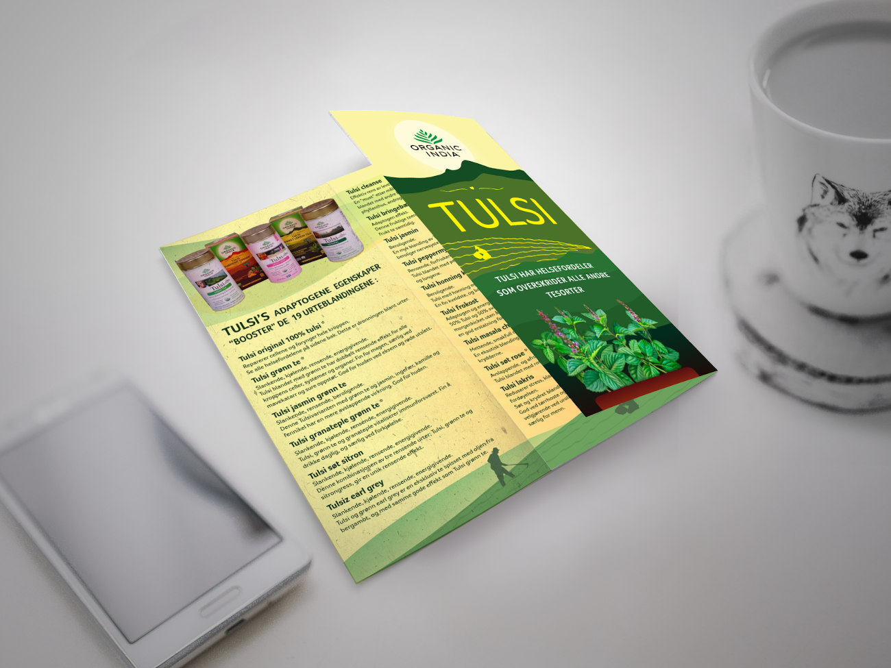 Triptych Brochure | OFG